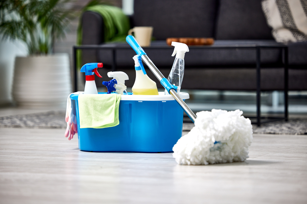 Professional cleaning products and supplies