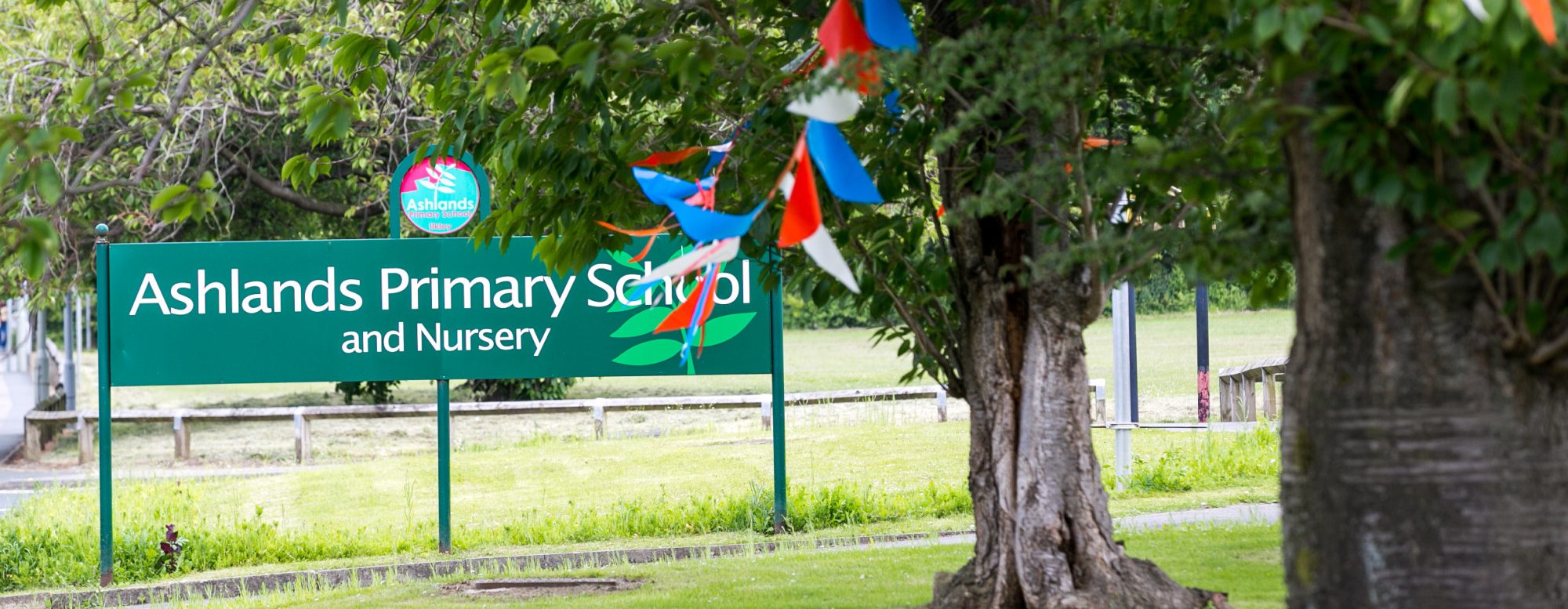 Schools - Content Image